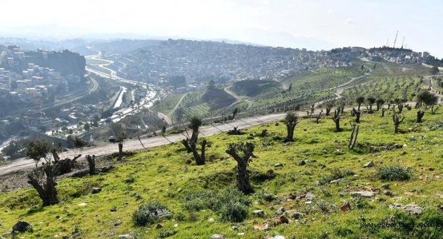 Kale'de "yeşil seferberlik"