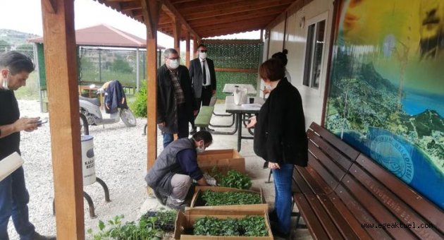 Karaburun’da sebze fidesi dikimleri başladı