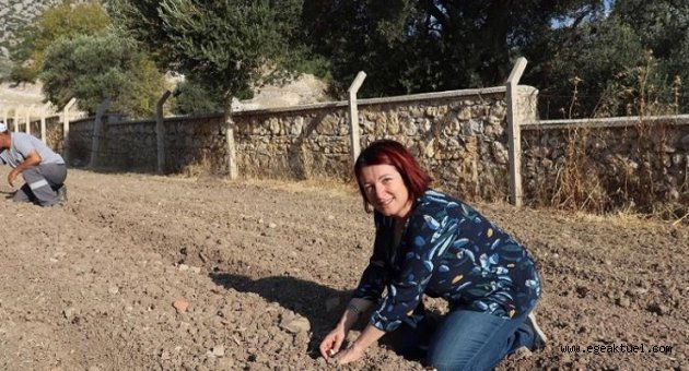 Karaburun’da “yerli tohum ve doğru tarım” dönemi
