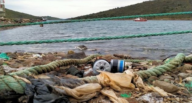 Karaburun'da balık tesisine 'kirlilik' tepkisi