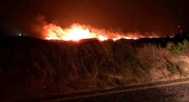 Karaburun'da otluk alanda yangın