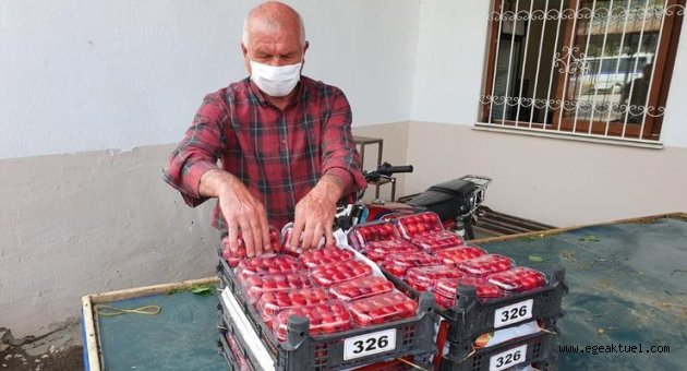 Karakayalı’dan korona virüsle mücadele raporu