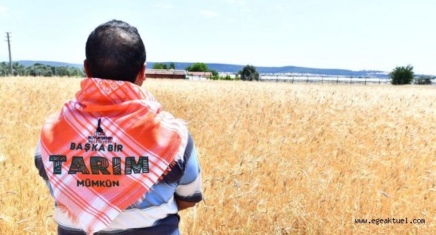 Karakılçık tohumunun ilk hasadı yapıldı