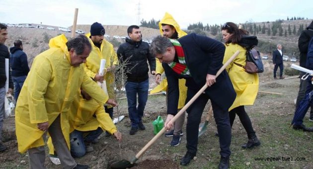 Karşıyaka’da yeşil seferberlik
