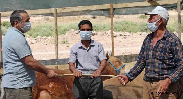 Karşıyaka Kurban Bayramı’na hazır