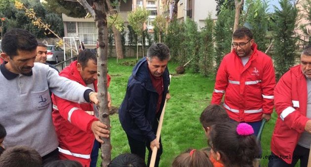 Karşıyaka’nın kedi evleri koruma altında