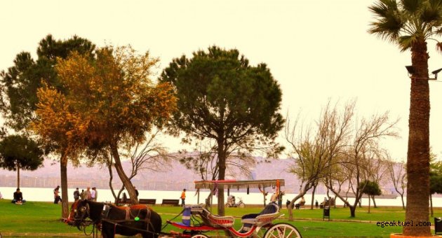 Karşıyaka’nın palmiyelerinde mutlu son