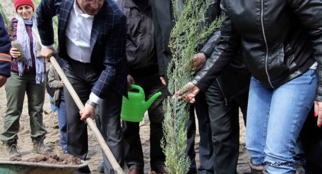 Karşıyaka’ya yeşil örtü