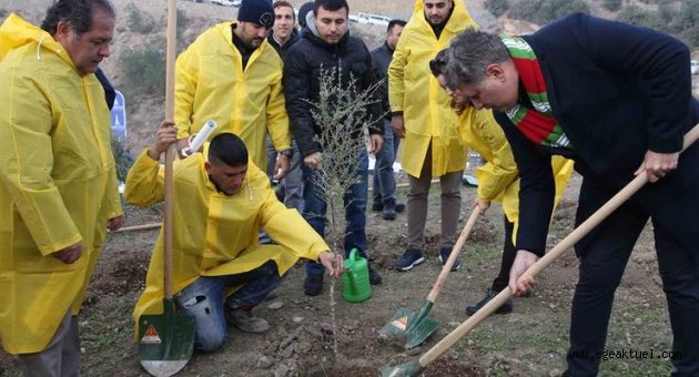 Karşıyaka yeşile bürünüyor!