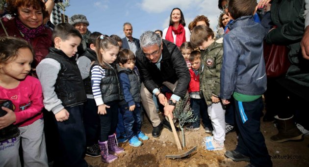 Karşıyaka'da 500 zeytin fidanı dikildi