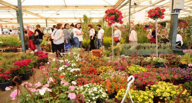 Karşıyaka'da mis gibi festival