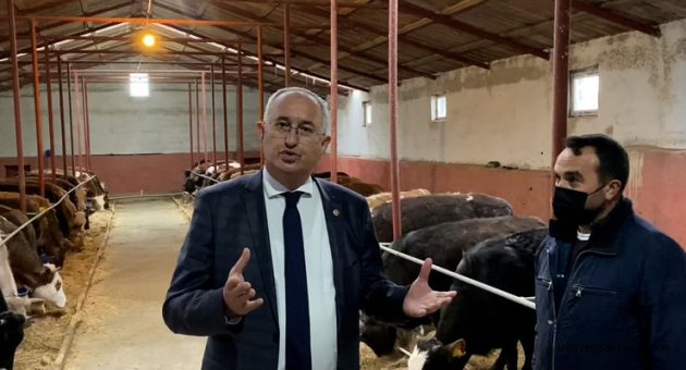 Karslı yetiştiricinin yem fiyatlarına isyanı: Kazanamıyoruz!