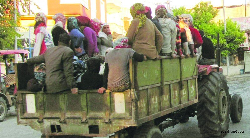 Katliam gibi kazayı Meclis'e taşıdı: “Tarım işçileri Allah’a emanet!”