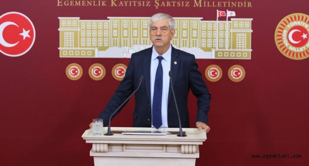 Kavacık üzümü meclis gündeminde