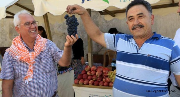 Kavacık Üzümü’nü dünya tanıyacak!