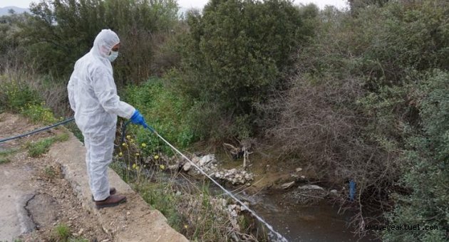 Kemalpaşa Belediyesi Haşere ve Larva ile mücadelesini hızlandırdı
