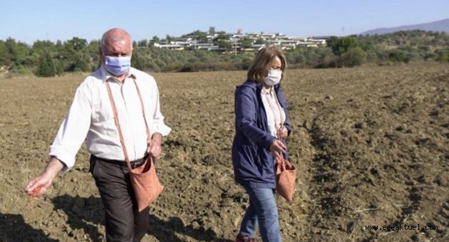 Kemalpaşa Belediyesi’nden ‘Karakılçık Buğdayı’ hamlesi