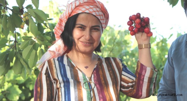 Kiraz Festivali Başlıyor
