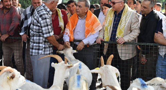 “Koç” gibi proje
