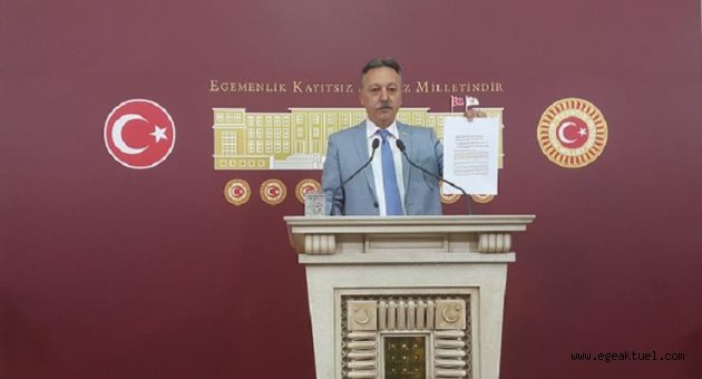 Kolileri dağıtmak o görevliye mi kalmıştır?