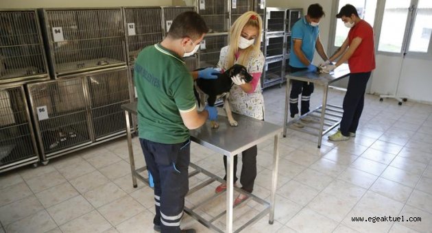 Konak’ta can dostlar güvende