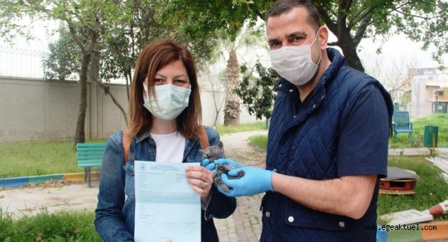 Konak’ta sevimli dostlar için yoğun mesai