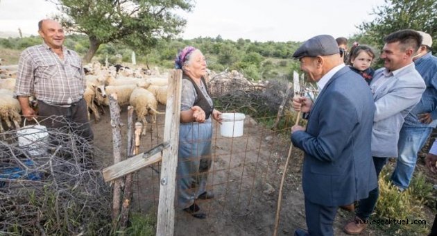  Kozak Yaylası'nın meralarını üreticiye bıraksınlar