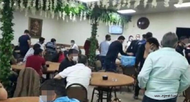 Kumar baskınında ilginç görüntü! Çay içmeye devam etti
