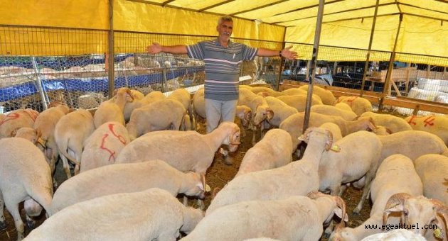 Kurban Bayramı’na hazırız