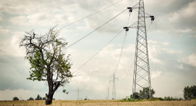 Küresel Isınmayı Fotoğraflarla Anlattılar