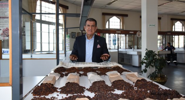 Kuru üzüm ihracatında yüzde 40 artış