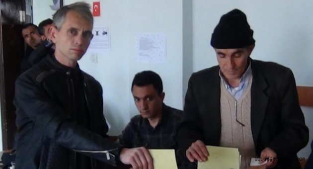 Kuşu 3 yıl sonra sandığa gitti