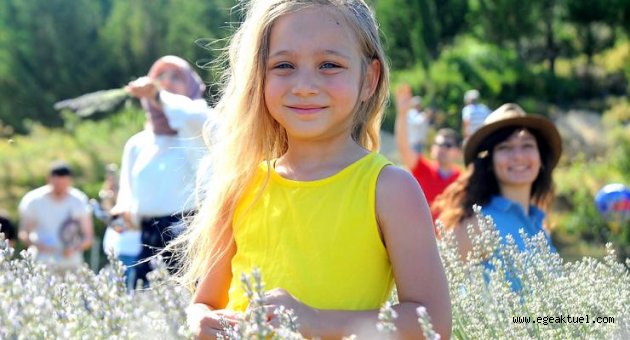 Lavanta Şenliği’ne binlerce insan katıldı