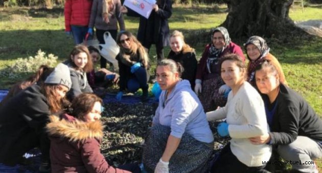 Lösemili çocuklar için imece usulü ile zeytin hasadı yaptılar