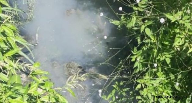 Mahalle sakinleri, dere kirliliğinden şikayetçi