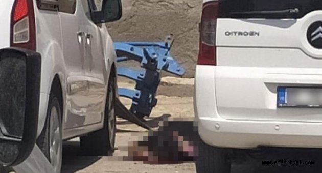 Mardin'de canlı bomba paniği!