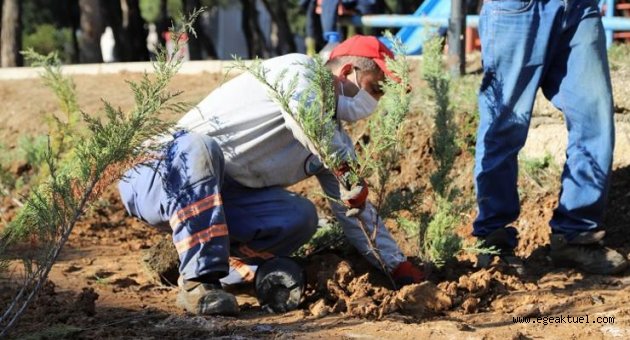 Menderes yeşile bürünüyor