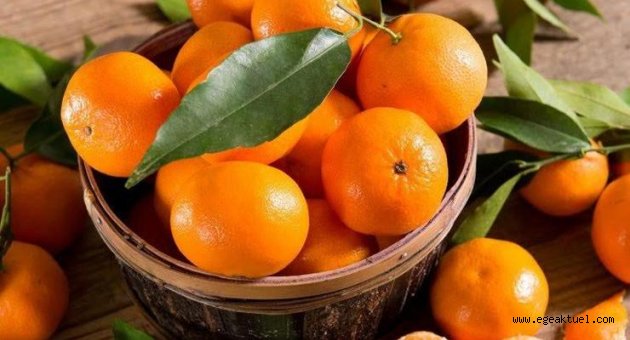 Menderes'te Mandalina Festivali zamanı