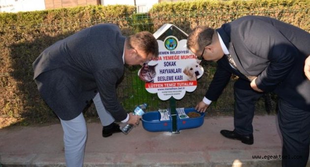 Menemen Belediyesi'nden can dostlar için örnek proje