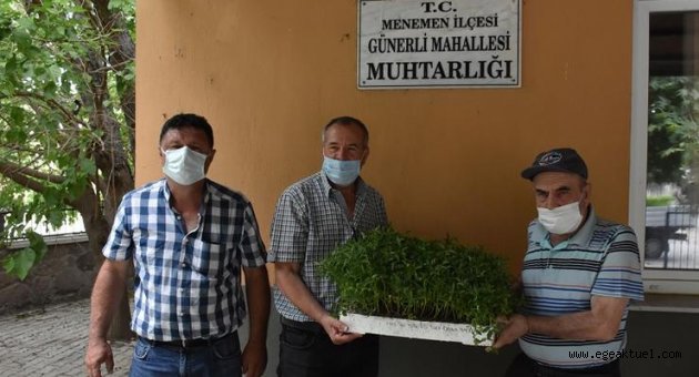Menemen’de yerli tohumlar toprakla buluştu
