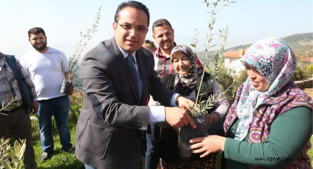 Meyve üreticilerine “Budama ve Aşılama” kursu