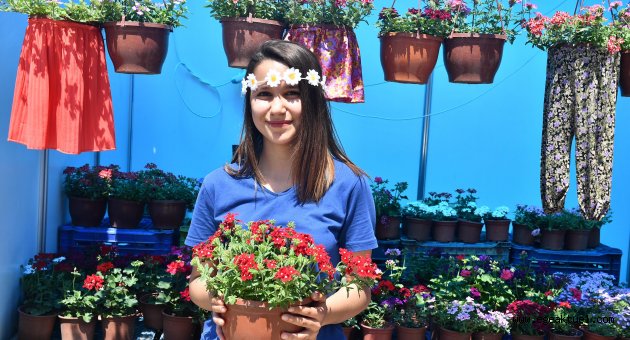 "Mis kokulu festival" başladı