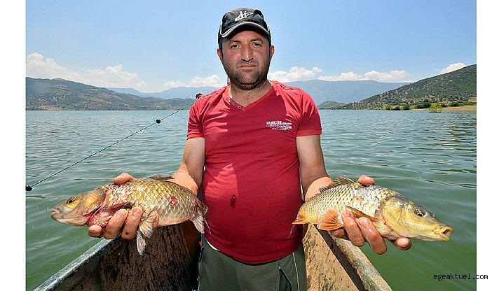 Mısır tarlasından, balık avına: Yerel kalkınmada zoraki durak