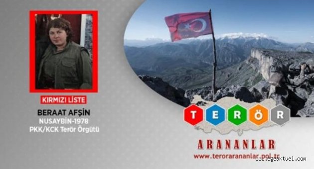 MİT'ten PKK'ya üst düzey darbe