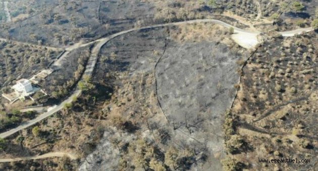 Muğla’daki yangınlarda son durum