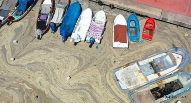 Müsilaj kuzey Ege'ye de ulaştı! İzmir'e ve Muğla'ya gider mi?