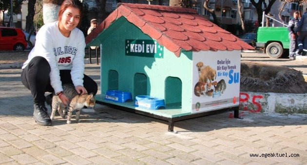   Ödemiş Belediyesi “Kedi Evleri” monte ediyor