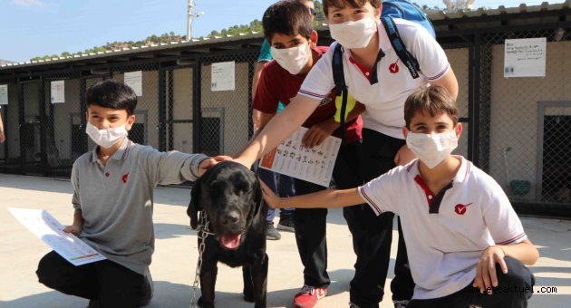 Öğrenciler 'can dostları' ziyaret etti