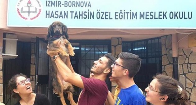Öğrenciler 'Kepçe' ile hayvan sevgisini öğrendi