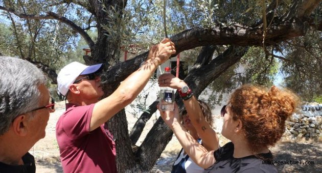 Organik çözümde "İzmir modeli